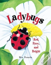 Capa do artigo Ladybugs