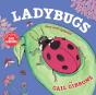 Ladybugs (New & Updated) - Preview