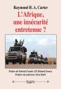 L'Afrique, Une Insécurité Entretenue ? - Preview