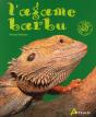 L'Agame Barbu - Preview