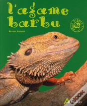 Capa do artigo L