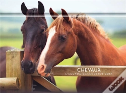 Capa do artigo L'Agenda-Calendrier Chevaux 2017