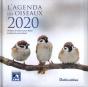 L'Agenda Des Oiseaux 2020 - Preview