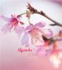 L'Agenda Rustica 2014 - Preview