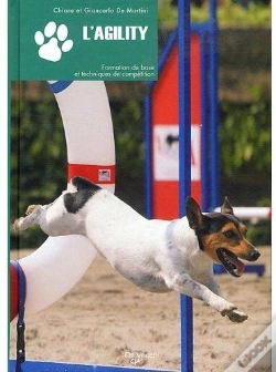 Capa do artigo L'Agility