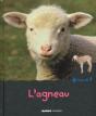 L'Agneau - Preview