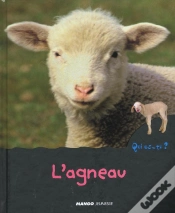 Capa do artigo L