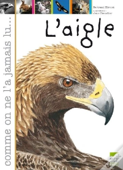 Capa do artigo L'Aigle