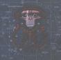 Laika Come Home - CD - Preview