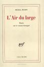 L'Air Du Large ; Essais Sur Le Roman Étranger - Preview