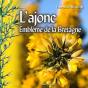 L'Ajonc ; Emblème De La Bretagne - Preview