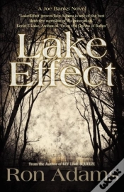 Capa do artigo Lake Effect