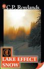 Lake Effect Snow - Preview