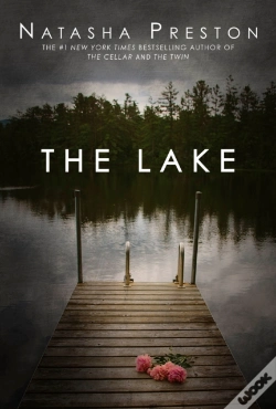 Capa do artigo Lake