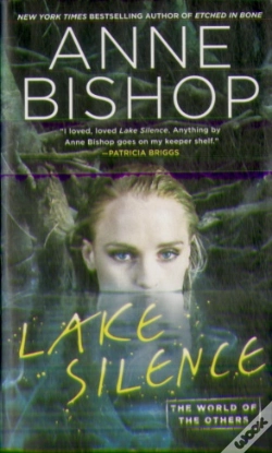 Capa do artigo Lake Silence