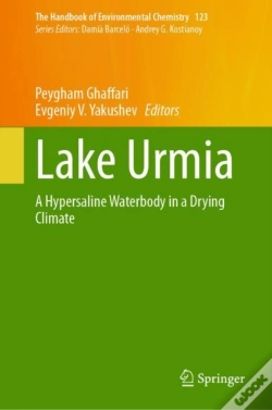 Capa do artigo Lake Urmia