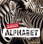 L'Alphabet - Preview