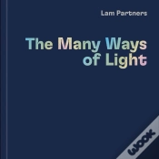 Capa do artigo Lam Partners