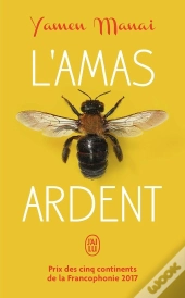 L'Amas Ardent