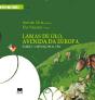 Lamas de Olo, Avenidas da Europa - Preview