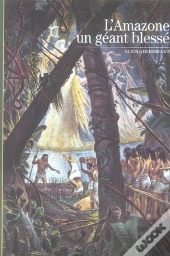 L'Amazone, Un Géant Blessé