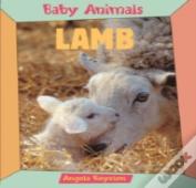 Lamb