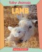 Lamb - Preview