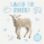 Lamb To Sheep - Preview