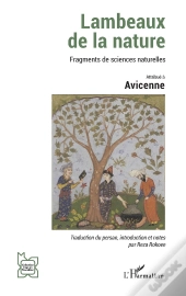 Lambeaux De La Nature : Fragments De Sciences Naturelles