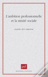 L'Ambition Professionnelle Et La Mixité Sociale