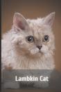 Lambkin Cat - Preview