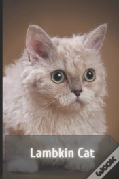 Capa do artigo Lambkin Cat