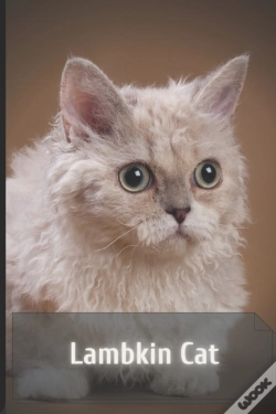 Capa do artigo Lambkin Cat