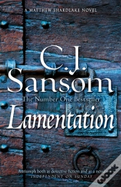 Capa do artigo Lamentation