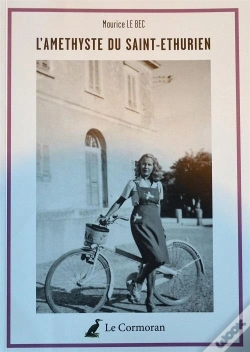 Capa do artigo L'Améthyste Du Saint-Ethurien