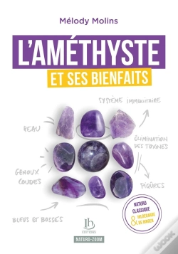 Capa do artigo L'Améthyste Et Ses Bienfaits : Naturopathie Classique Et Hildegarde De Bingen