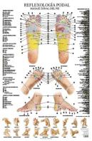 Laminas. Reflexologia Podal (N.E.)