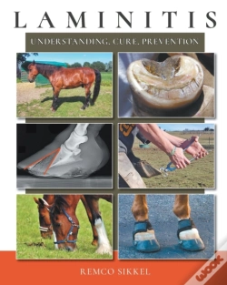 Capa do artigo Laminitis