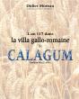 L'An 117 Dans La Villa Gallo-Romaine De Calagum - Preview