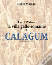 L'An 117 Dans La Villa Gallo-Romaine De Calagum