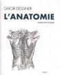 L'Anatomie - Preview