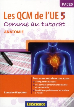 Capa do artigo L'Anatomie-Ue5 Pas A Pas