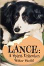 Lance - Preview