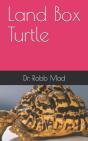 Land Box Turtle - Preview