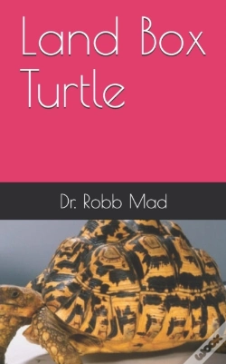 Capa do artigo Land Box Turtle