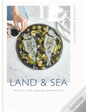 Capa do artigo Land & Sea