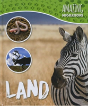 Land - Preview