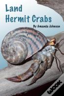 Land Hermit Crabs