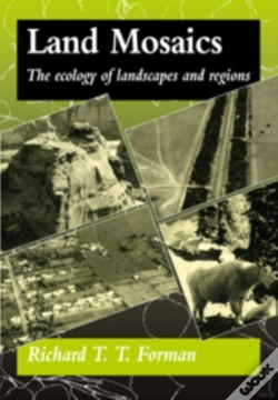 Capa do artigo Land Mosaics