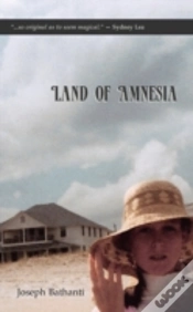 Capa do artigo Land Of Amnesia